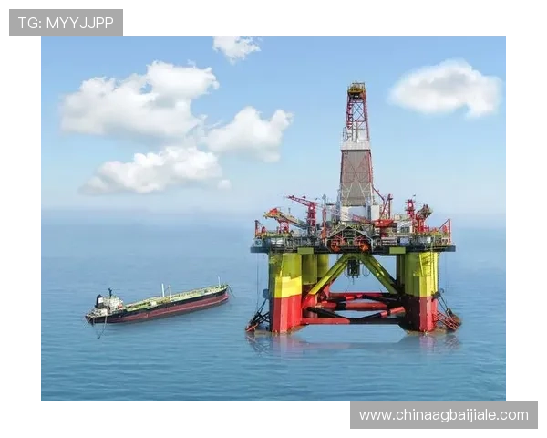 云顶集团3118·(中国区)官方网站：云顶集团在中国的企业文化与社会责任实践全景解析